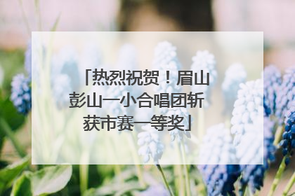 热烈祝贺！眉山彭山一小合唱团斩获市赛一等奖