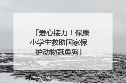 爱心接力！保康小学生救助国家保护动物冠鱼狗