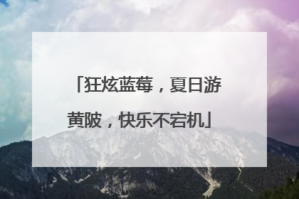 狂炫蓝莓，夏日游黄陂，快乐不宕机