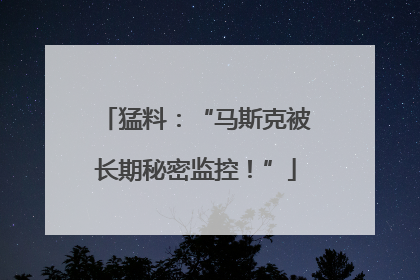 猛料：“马斯克被长期秘密监控！”