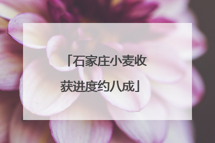 石家庄小麦收获进度约八成