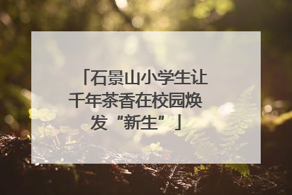 石景山小学生让千年茶香在校园焕发“新生”