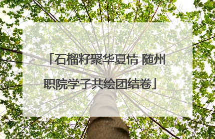 石榴籽聚华夏情 随州职院学子共绘团结卷