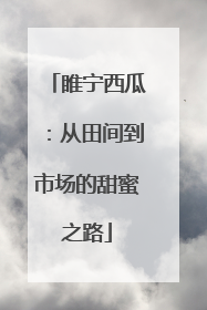 睢宁西瓜：从田间到市场的甜蜜之路