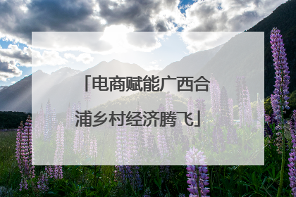 电商赋能广西合浦乡村经济腾飞