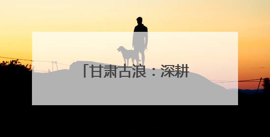 甘肃古浪：深耕治沙“织绿” 筑牢生态安全屏障