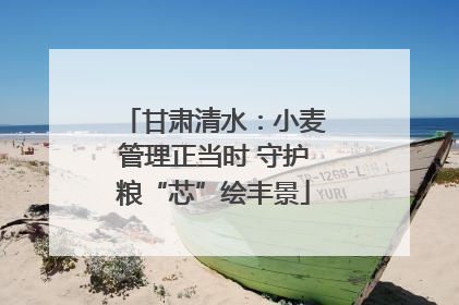 甘肃清水：小麦管理正当时 守护粮“芯”绘丰景