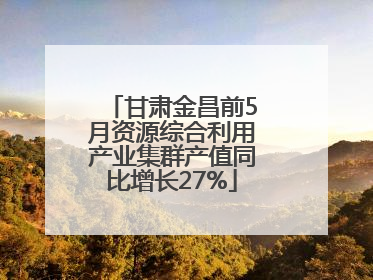 甘肃金昌前5月资源综合利用产业集群产值同比增长27%