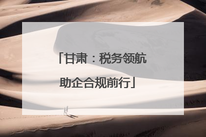 甘肃：税务领航 助企合规前行