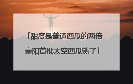 甜度是普通西瓜的两倍 襄阳首批太空西瓜熟了