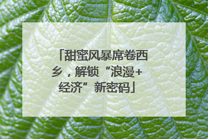 甜蜜风暴席卷西乡，解锁“浪漫+经济”新密码