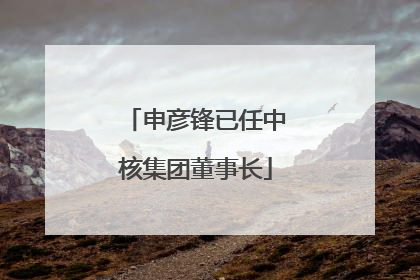 申彦锋已任中核集团董事长