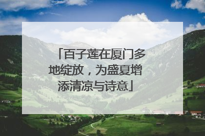 百子莲在厦门多地绽放，为盛夏增添清凉与诗意