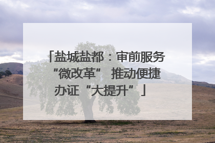 盐城盐都：审前服务“微改革” 推动便捷办证“大提升”