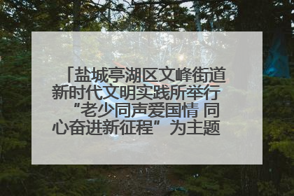 盐城亭湖区文峰街道新时代文明实践所举行“老少同声爱国情 同心奋进新征程”为主题的红色文化活动