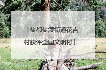 盐都盐渎街道花吉村获评全国文明村