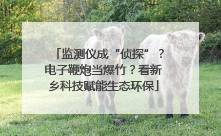 监测仪成“侦探”？电子鞭炮当爆竹？看新乡科技赋能生态环保