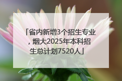 省内新增3个招生专业，烟大2025年本科招生总计划7520人