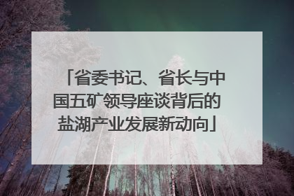 省委书记、省长与中国五矿领导座谈背后的盐湖产业发展新动向