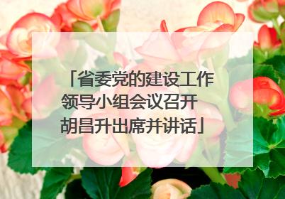 省委党的建设工作领导小组会议召开 胡昌升出席并讲话