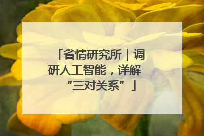 省情研究所｜调研人工智能，详解“三对关系”