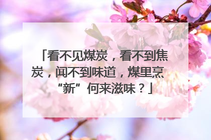 看不见煤炭，看不到焦炭，闻不到味道，煤里烹“新”何来滋味？