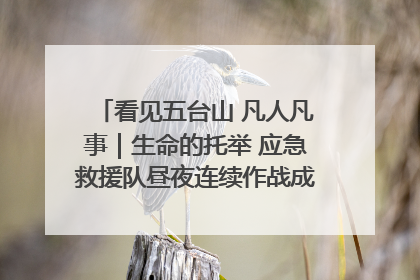 看见五台山 凡人凡事｜生命的托举 应急救援队昼夜连续作战成功救出两批被困游客
