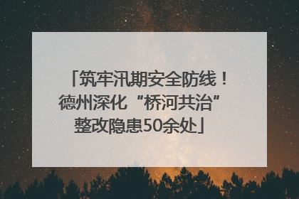筑牢汛期安全防线！德州深化“桥河共治”整改隐患50余处