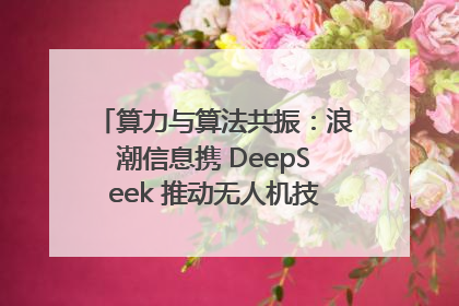 算力与算法共振：浪潮信息携 DeepSeek 推动无人机技术在舟山落地
