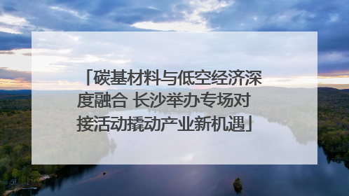 碳基材料与低空经济深度融合 长沙举办专场对接活动撬动产业新机遇
