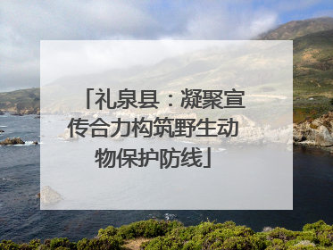 礼泉县：凝聚宣传合力构筑野生动物保护防线