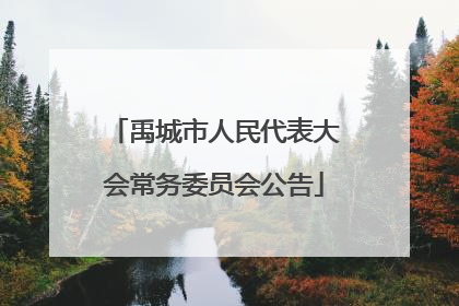 禹城市人民代表大会常务委员会公告