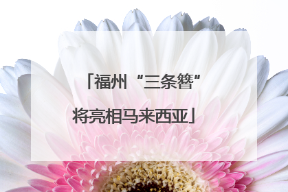 福州“三条簪”将亮相马来西亚