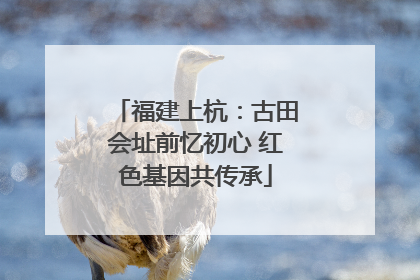 福建上杭：古田会址前忆初心 红色基因共传承