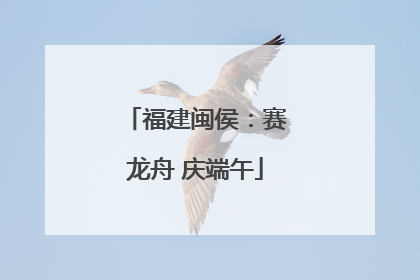 福建闽侯：赛龙舟 庆端午