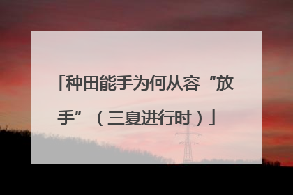 种田能手为何从容“放手”（三夏进行时）