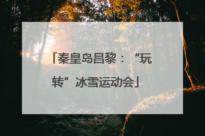 秦皇岛昌黎：“玩转”冰雪运动会