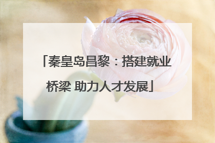 秦皇岛昌黎：搭建就业桥梁 助力人才发展
