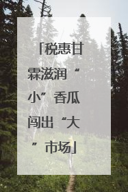税惠甘霖滋润“小”香瓜闯出“大”市场