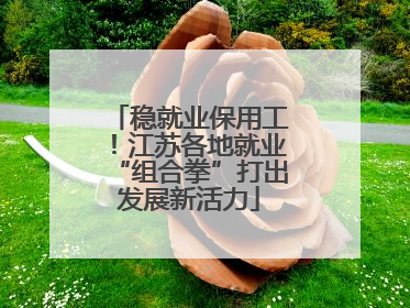 稳就业保用工！江苏各地就业“组合拳”打出发展新活力