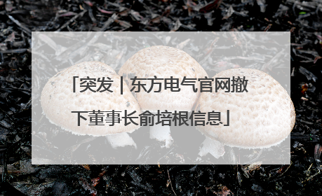 突发｜东方电气官网撤下董事长俞培根信息