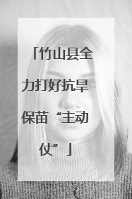 竹山县全力打好抗旱保苗“主动仗”