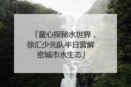 童心探秘水世界，徐汇少先队半日营解密城市水生态