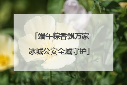 端午粽香飘万家 冰城公安全域守护