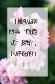 第9届南博会“剧透式”探馆，包好逛的！