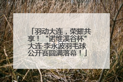 羽动大连，荣耀共享！“诺维溪谷杯”大连·李永波羽毛球公开赛圆满落幕！
