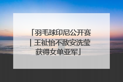羽毛球印尼公开赛｜王祉怡不敌安洗莹 获得女单亚军