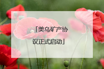 美乌矿产协议正式启动