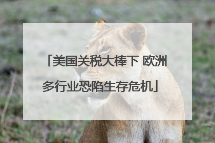 美国关税大棒下 欧洲多行业恐陷生存危机