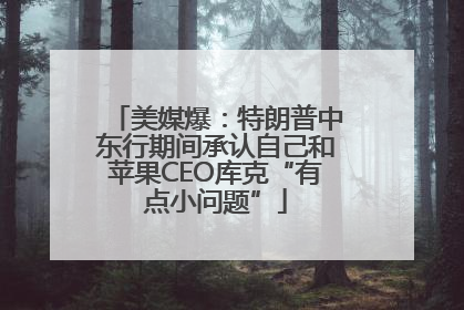 美媒爆：特朗普中东行期间承认自己和苹果CEO库克“有点小问题”